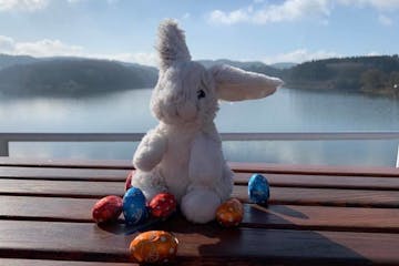 a stuffed animal sitting on a bench in front of a lake
