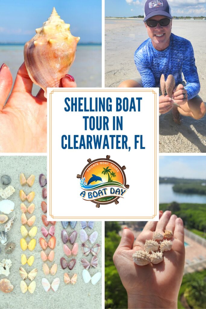 shelling boat tour in clearwater florida with a boat day