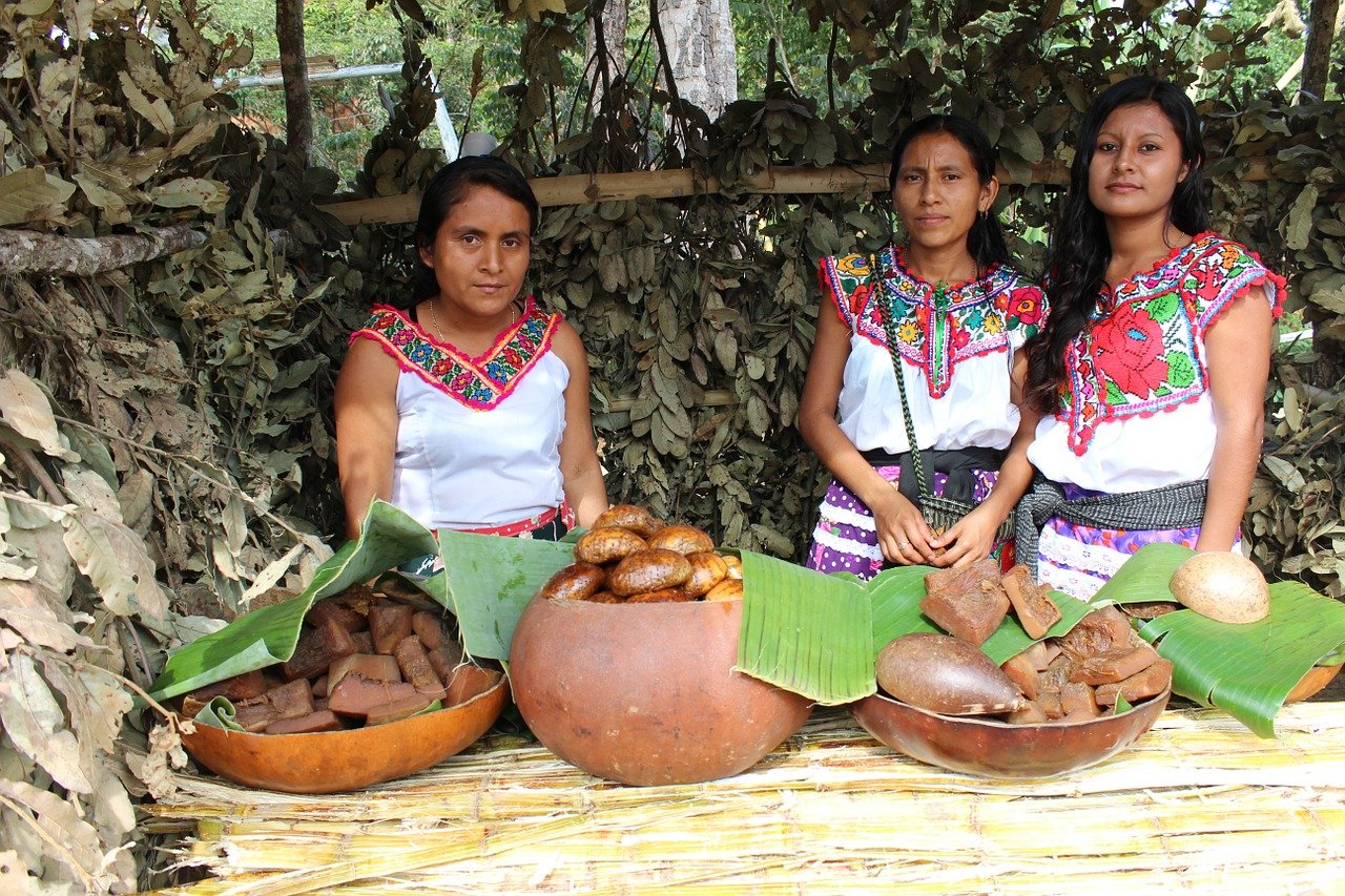 Indigenous of Oaxaca Facts