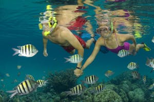 Snorkeling with Visit Palm Beach