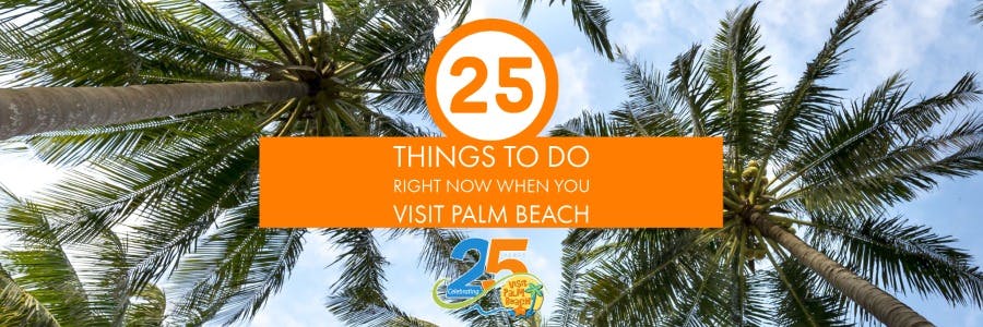 things to do in south florida - Engage with Wildlife at West Palm Beach