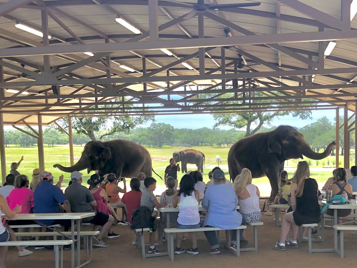 elephant tour fredericksburg