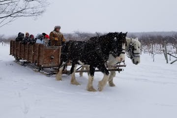 a person riding a horse in the snow