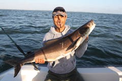 Cowboys Floral 27oz Chaser - Cobia Outdoors LLC