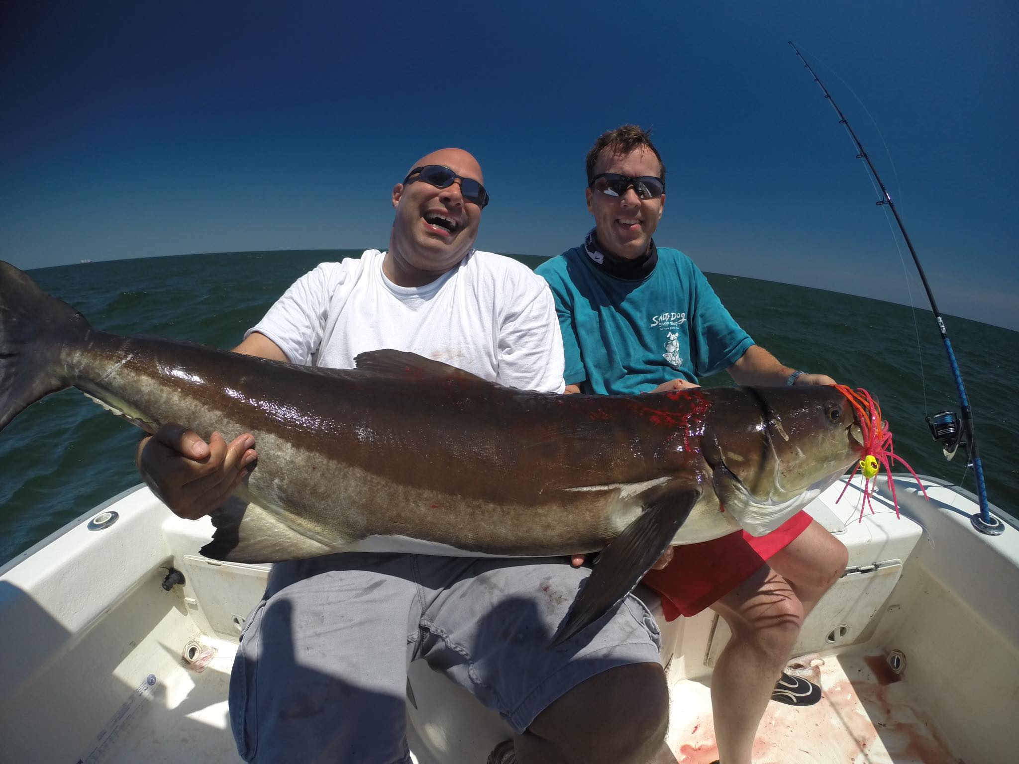 best cobia spinning rod