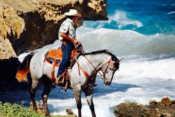 a person riding a horse on a rock