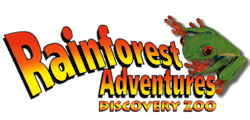 RainForest Adventures