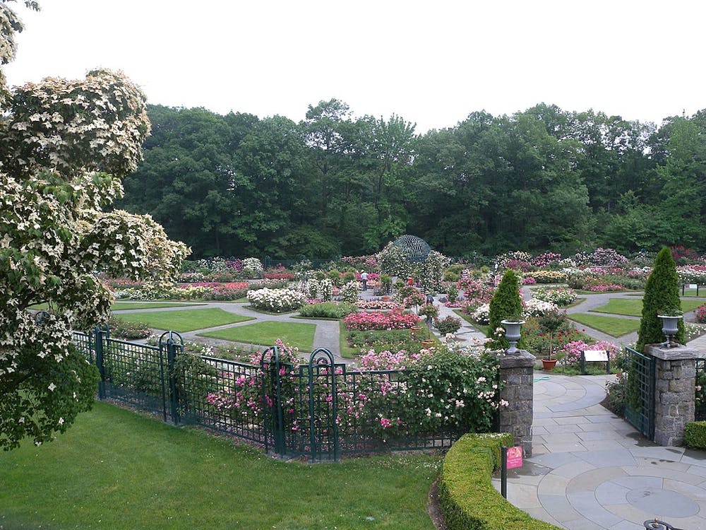 New York Botanical Garden Rose Garden