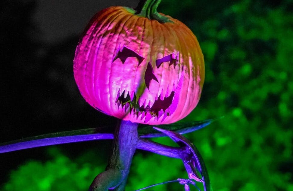 NYBG Fall-O-Ween Spooky Garden Nights