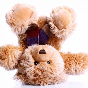 a large brown teddy bear