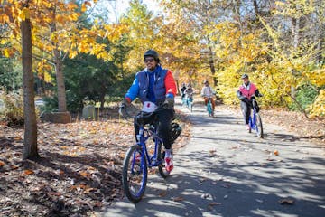 A guide leads a custom tour on electric bicycles through a colorful park greenway filled with yellow leaves of fall.