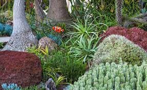 San Diego Botanic Gardens Encinitas