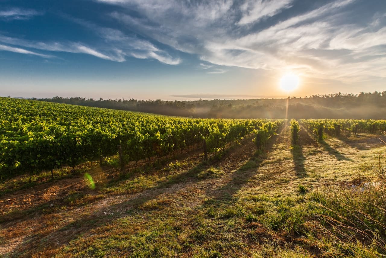 Best Wine Tasting Tour from Barcelona