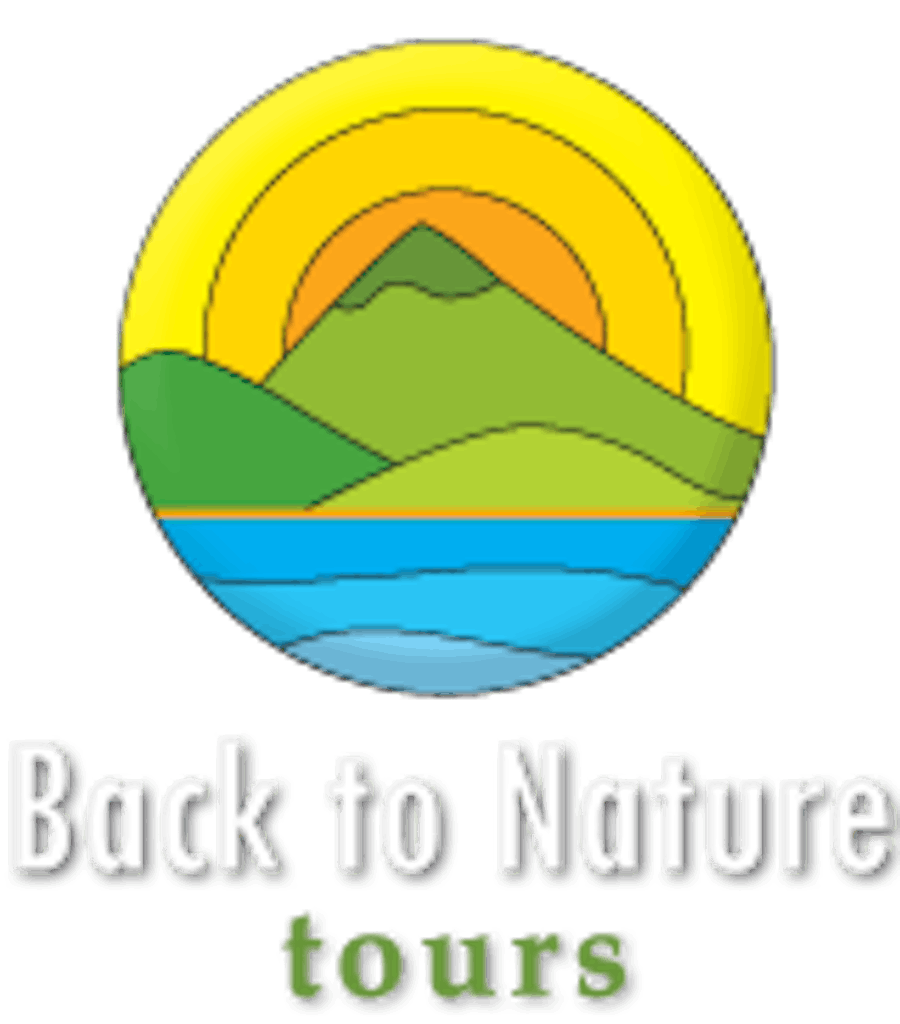 Back To Nature Tours New Zealand Nature Tours Activities