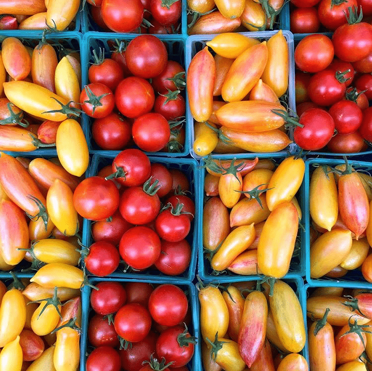 Tomatoes in baskets at farmers market
