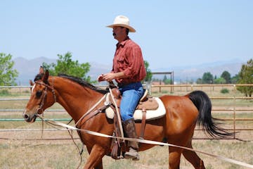 a person riding a horse