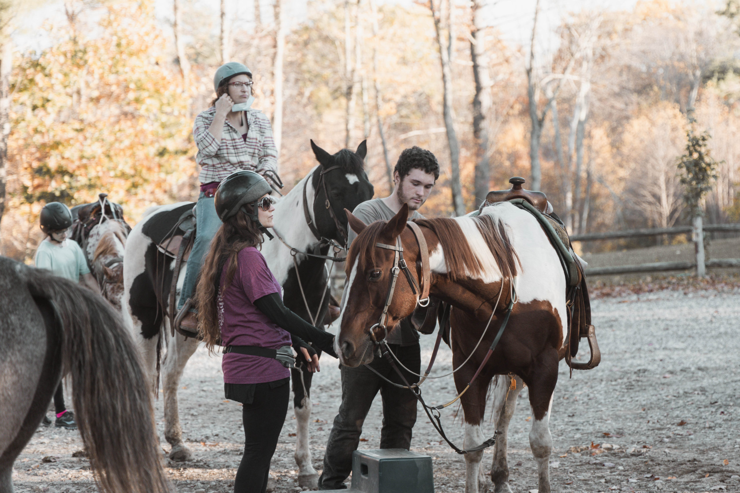 Day In The Life Of A Wrangler Cornerstone Ranch