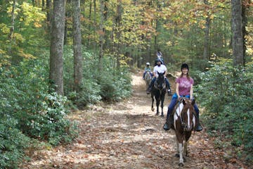 Riding horses on a trail