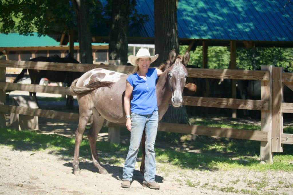 a person standing with a mule