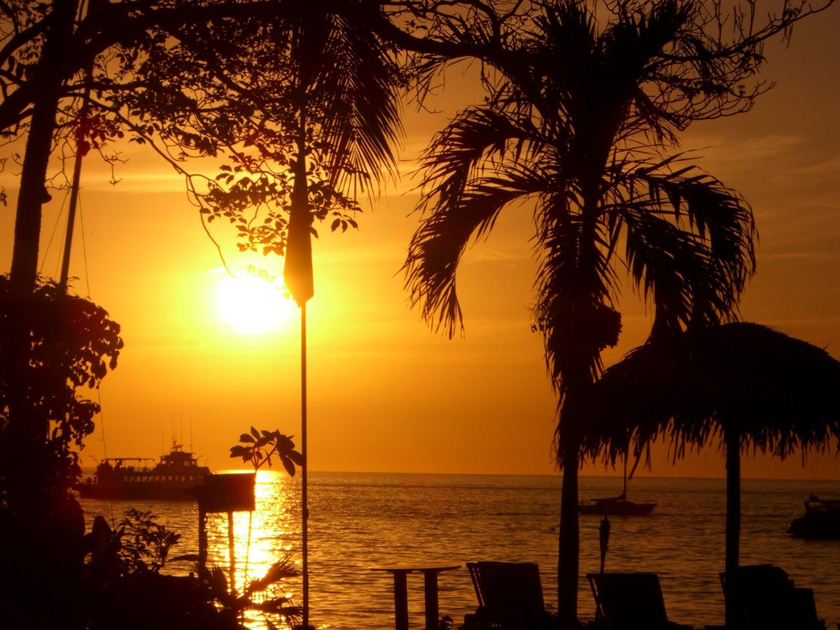 a sunset over a body of water next to a palm tree