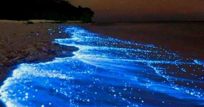 Bioluminescent Bays in Puerto Rico: Best Time to Go