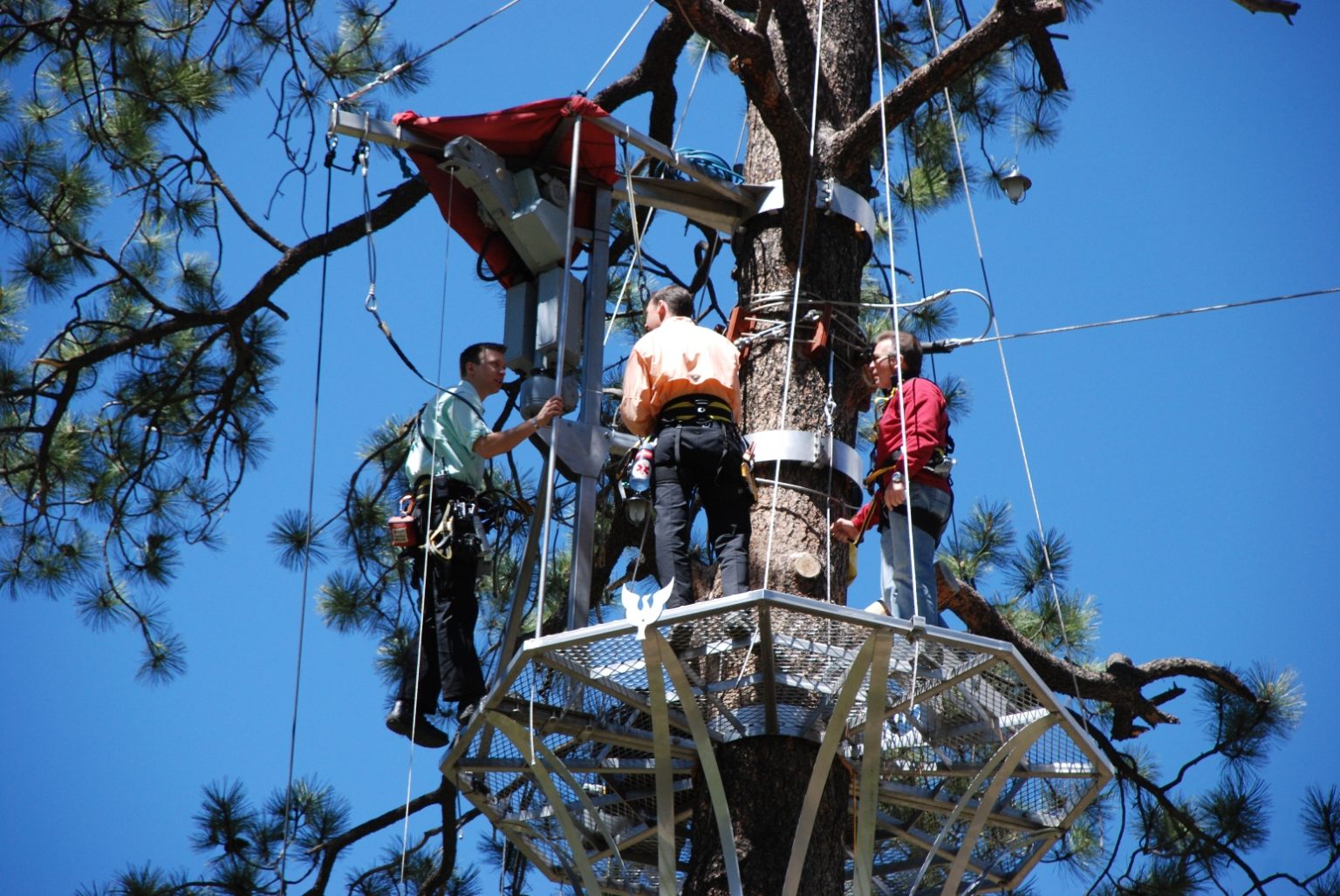 more-than-a-zip-line-tour-soaring-tree-top-adventures