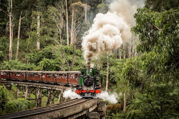 a steam engine train traveling down train tracks near a forest
