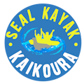Seal Kayak Kaikoura