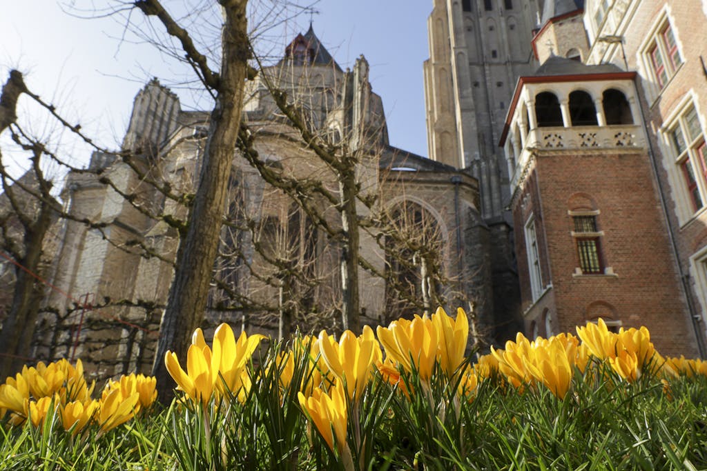Church with flowers in Bruges