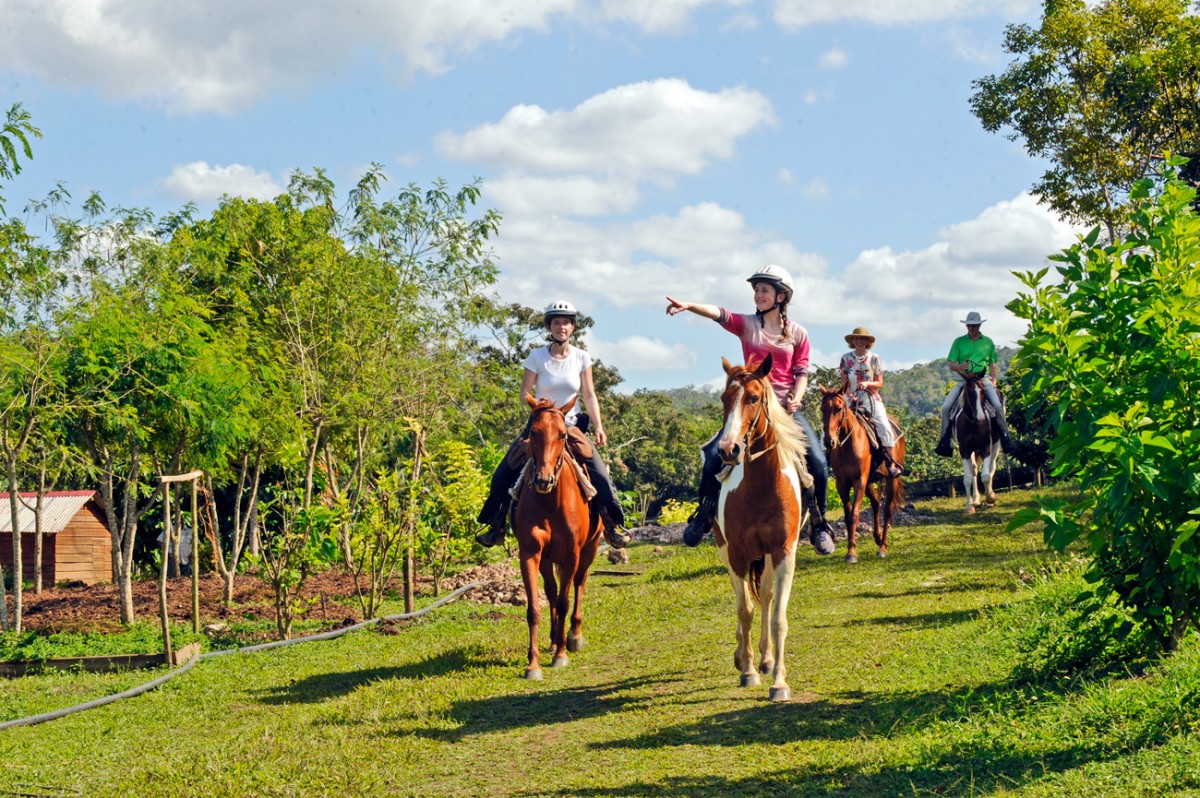 Horseback Riding in Belize