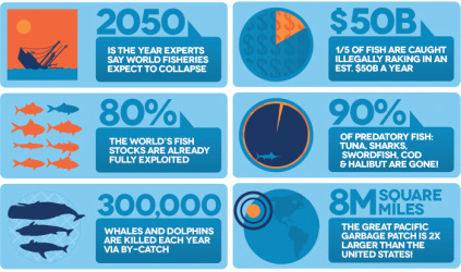 Overfishing: Environmental And Economic Damage.