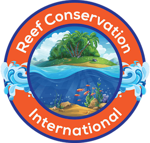ReefCI - The Best Volunteer Programs in Belize