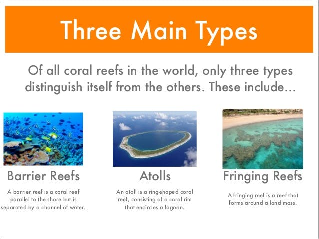 Atoll Reef Definition