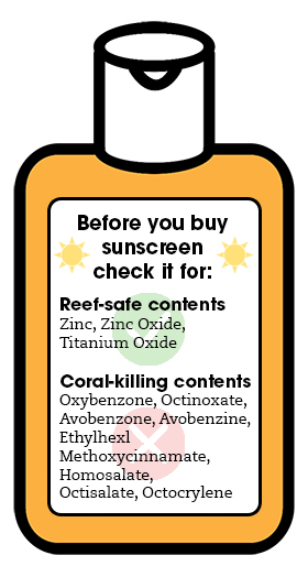 buy sunscreen