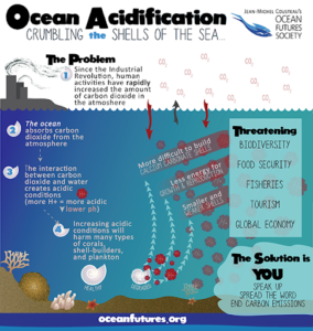 acidification crumbling