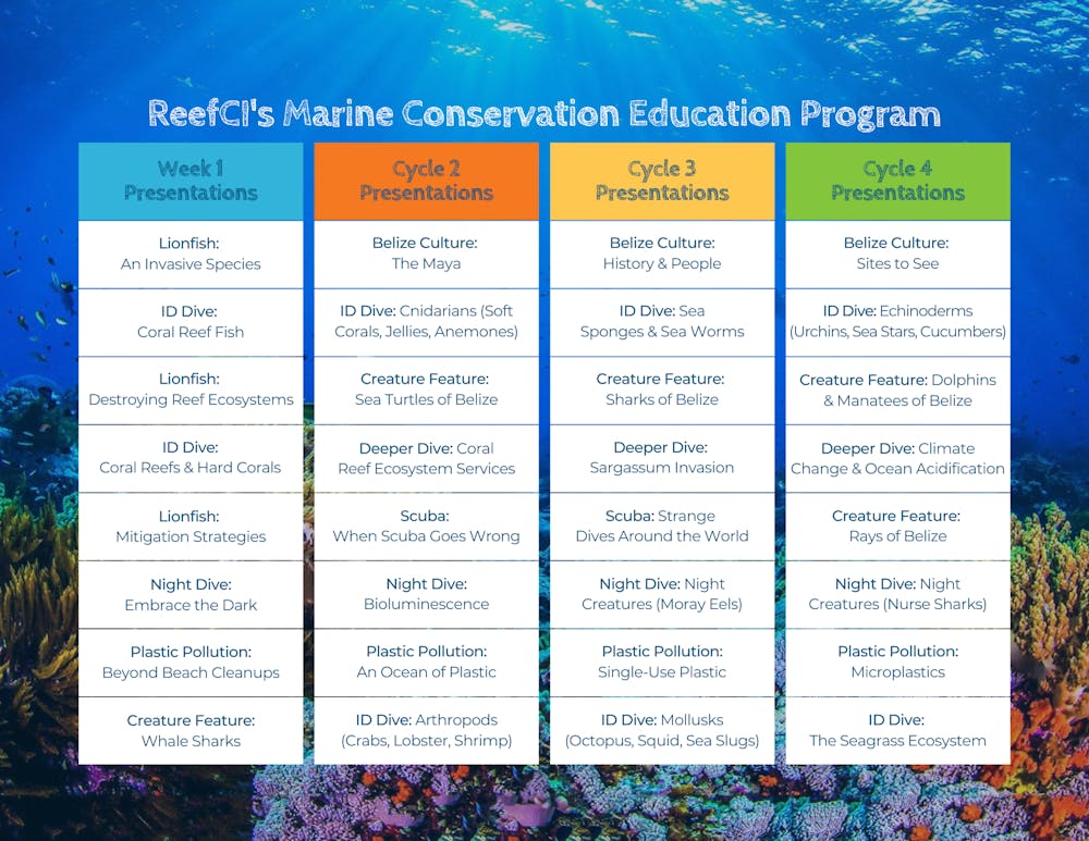 ReefCI’s New And Improved Marine Conservation Program ReefCI