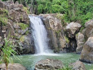 Puerto Rico El Yunque Rainforest Hiking to Waterfall and Cliff Jumping Adventure