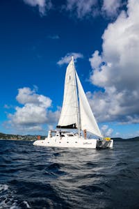 Guests on Seas the Day Charters USVI S/Y Leviathan sailing