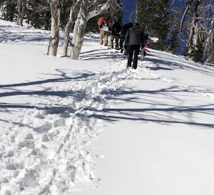 a group of people cross country skiing in the snow