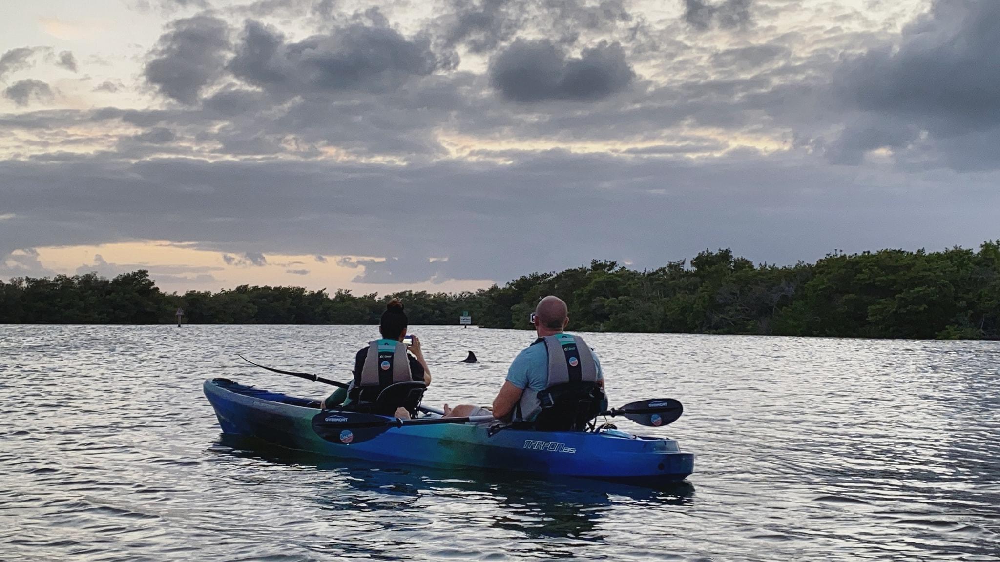 Thousand Islands Mangrove Kayak Tour | Cocoa Kayaking