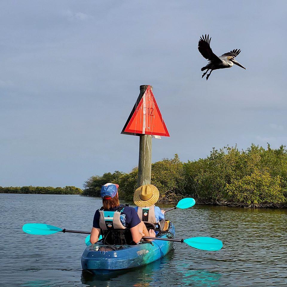 Thousand Islands Mangrove Kayak Tour | Cocoa Kayaking