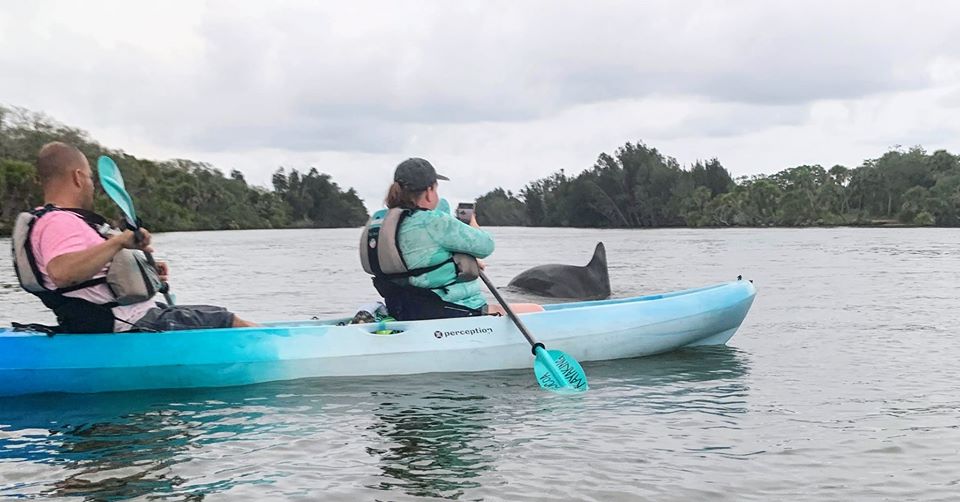 Cocoa Kayaking | Cocoa Beach Kayaking & Bioluminescent Tours