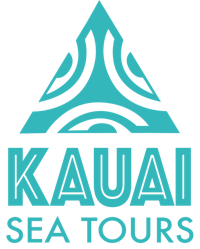 Contact Us | Kauai Sea Tours