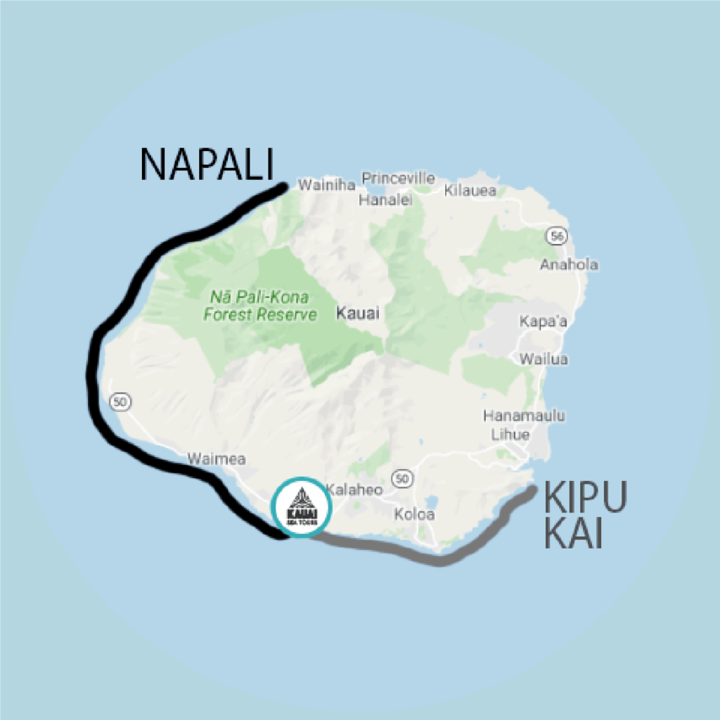 Nā Pali Catamaran Sunset Tour | Kauai Sea Tours