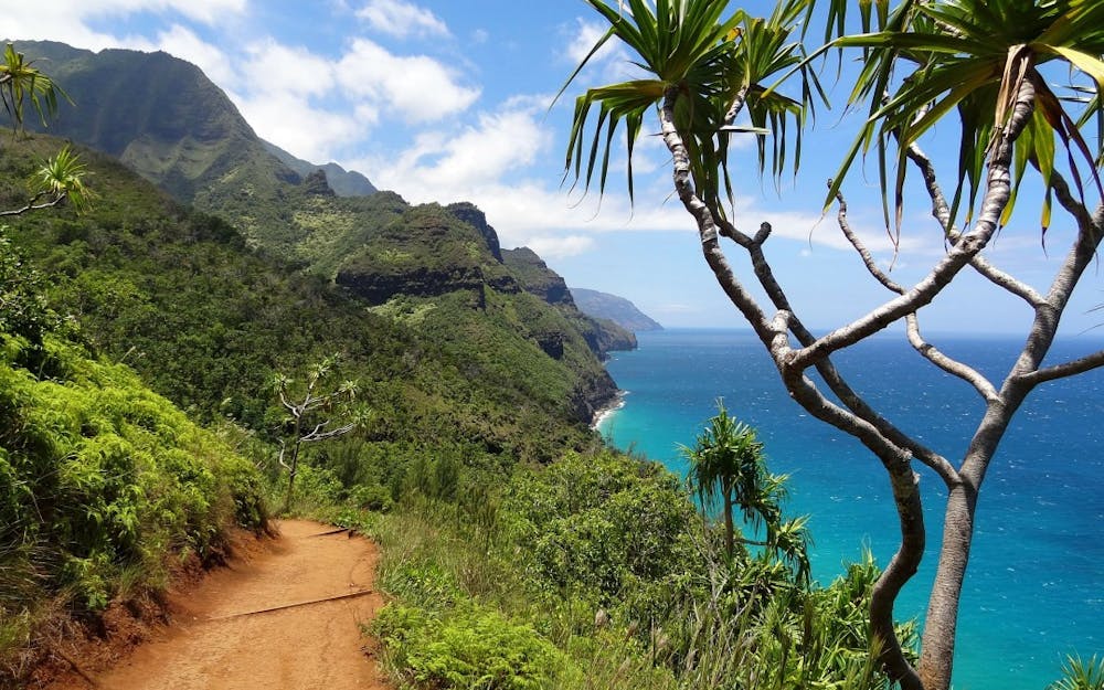 Where Is Pali Coast and How to Visit Kauai Sea Tours