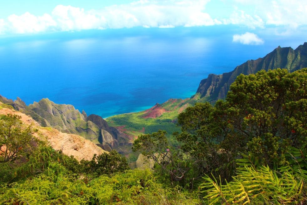 Gætte klo Total Hiking The Na Pali Coast: The Kalalau Trail | Kauai Sea Tours