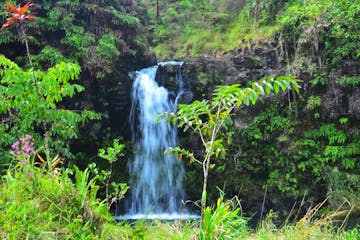 a waterfall surrounded by green grass and trees
