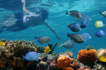 a group of underwater