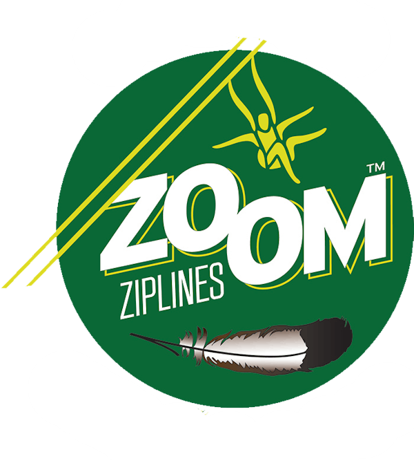 La Jolla Zip Zoom Ziplining In La Jolla San Diego