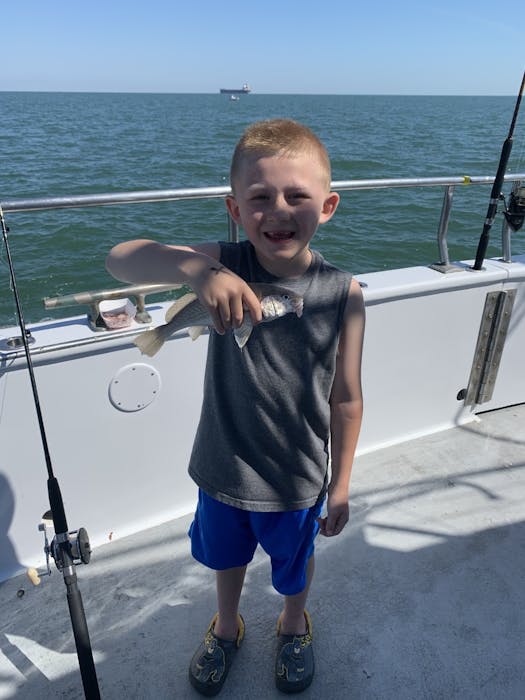 rudee tours half day fishing